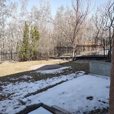 Spacious One Bedroom Walkout Basement Suite YYC Exterior photo