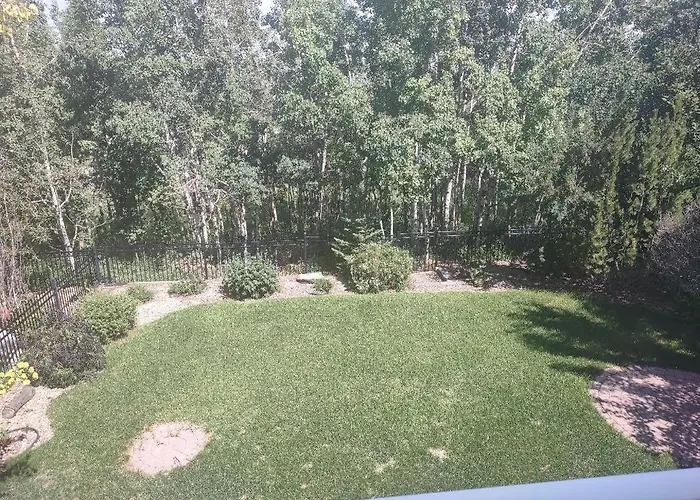 Spacious One Bedroom Walkout Basement Suite