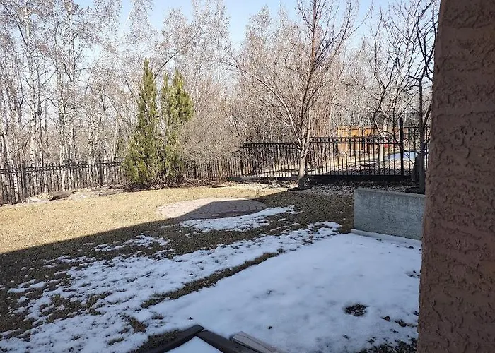Spacious One Bedroom Walkout Basement Suite